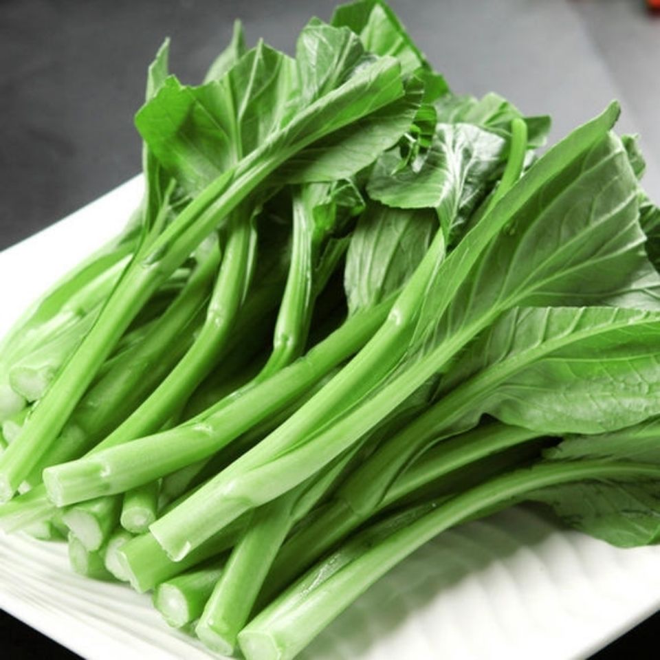 白菜苔红菜苔广东甜菜心种籽秋季蔬菜菜心种子苔菜子种孑阳台盆栽