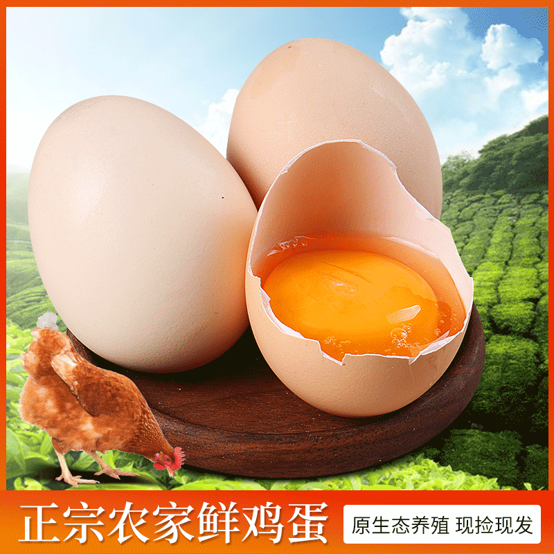 现产现发农家散养土鸡蛋新鲜鸡蛋均单枚40克-50克40枚装