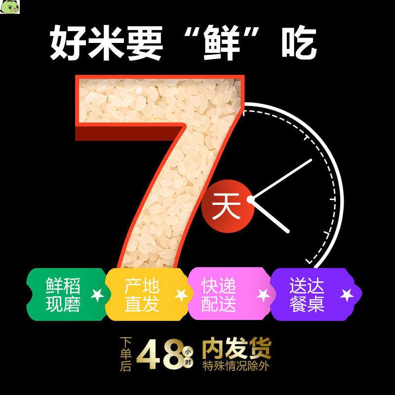 【新米】天津小站稻大米10斤20斤价东北大米品质长粒香米5斤