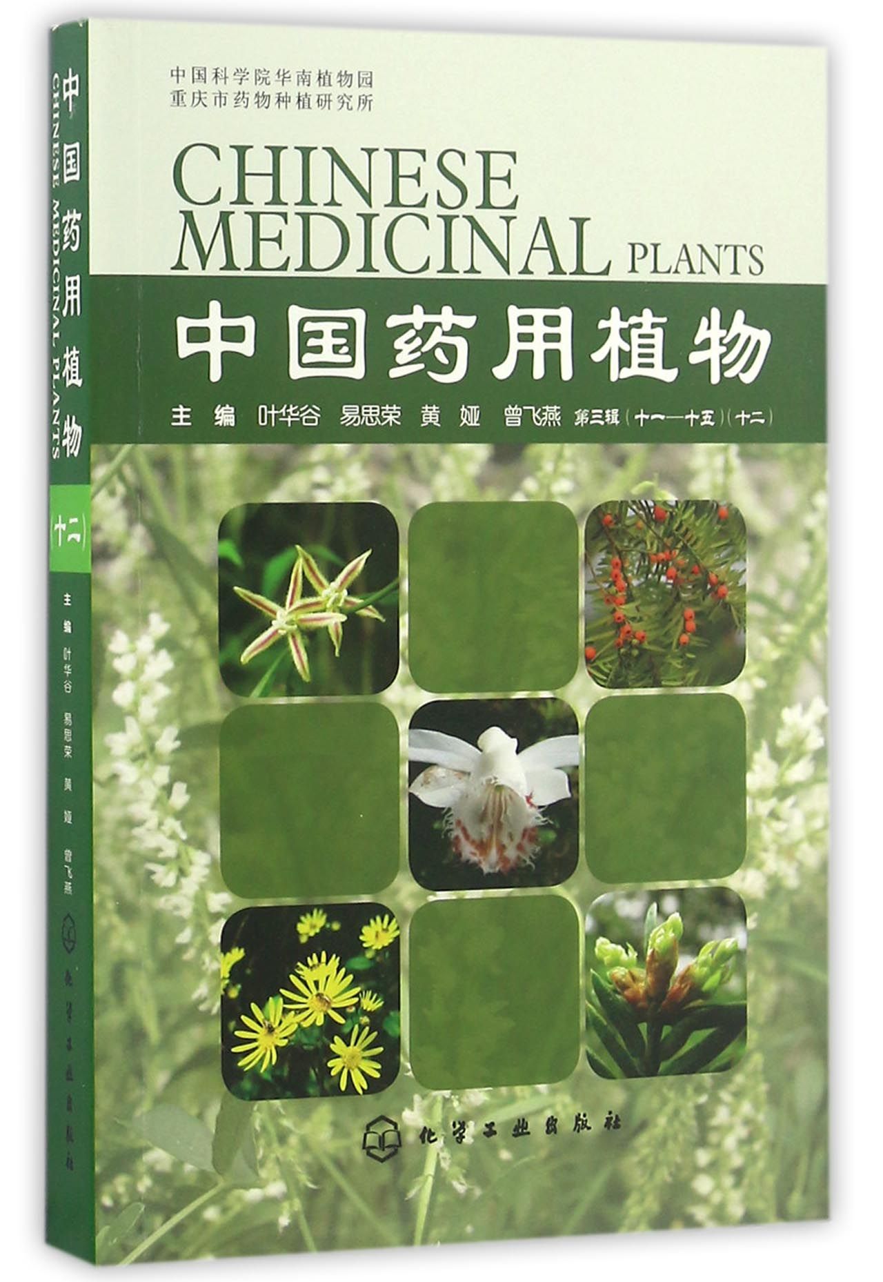 正版图书中国药用植物(12)叶华谷 等化学工业出版社9787122274151