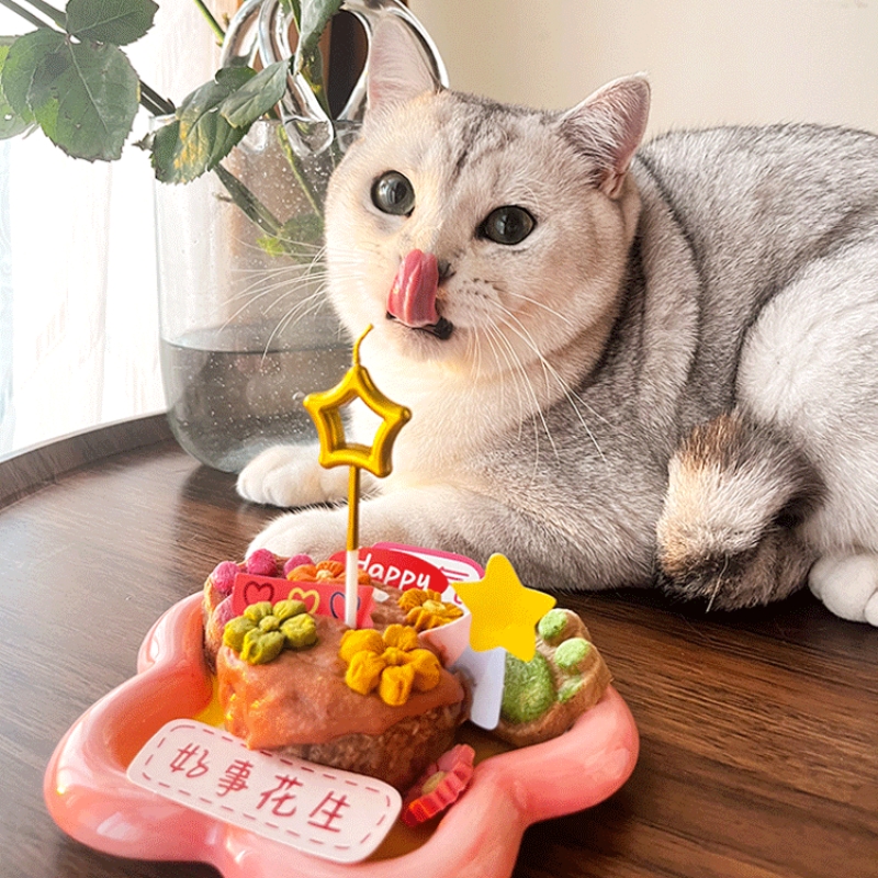 moyu猫咪生日蛋糕宠物专用罐头套装礼盒猫吃的自制礼包小礼物diy
