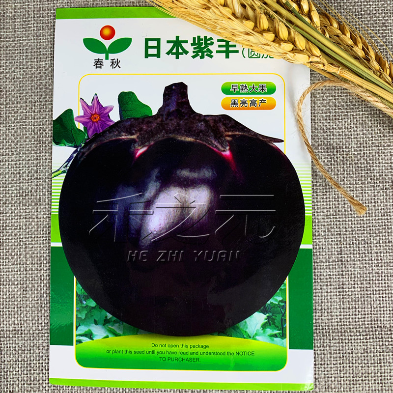日本紫丰圆茄子种子种籽菜种籽元茄蔬菜果蔬种孑四季茄子春秋冬季