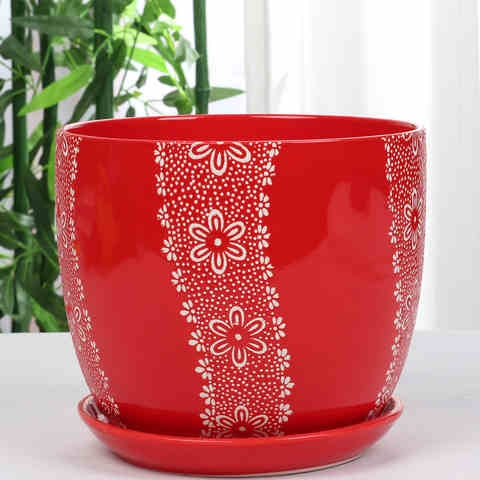 中国风大红色陶瓷花盆喜庆有孔花盆纯红个性创意花盆绿萝吊兰花器