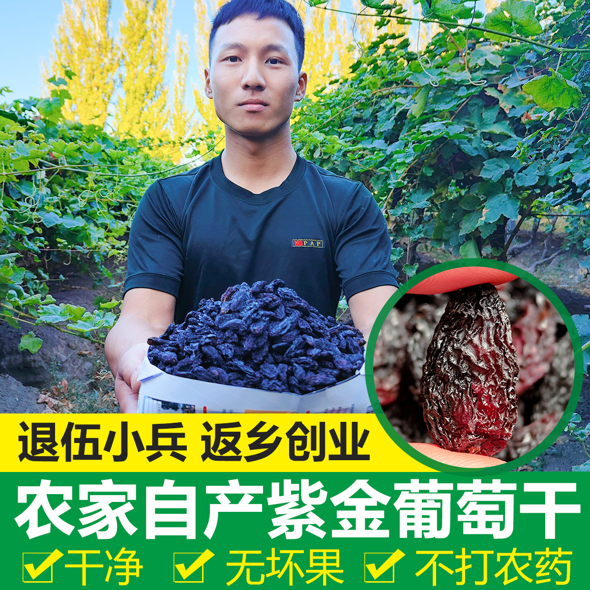 新疆特产新品紫金葡萄吐鲁番自然风干特级免洗果干500g零食葡萄干