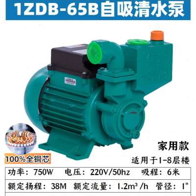 爆品广东清水泵家用自吸泵高扬程220V自来水管道自动增压泵抽水品