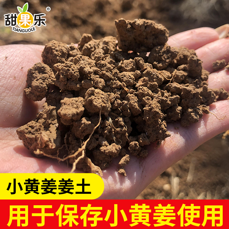 甜果乐 泥土9斤姜土用于保存小黄姜等农产品使用种植花草非小黄姜