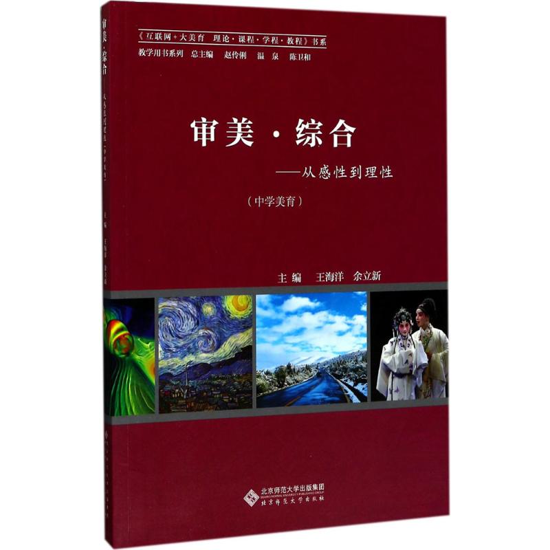 审美·综合：王海洋,余立新 主编王海洋,余立新 著 教学方法及理论 文教 北京师范大学出版社 图书