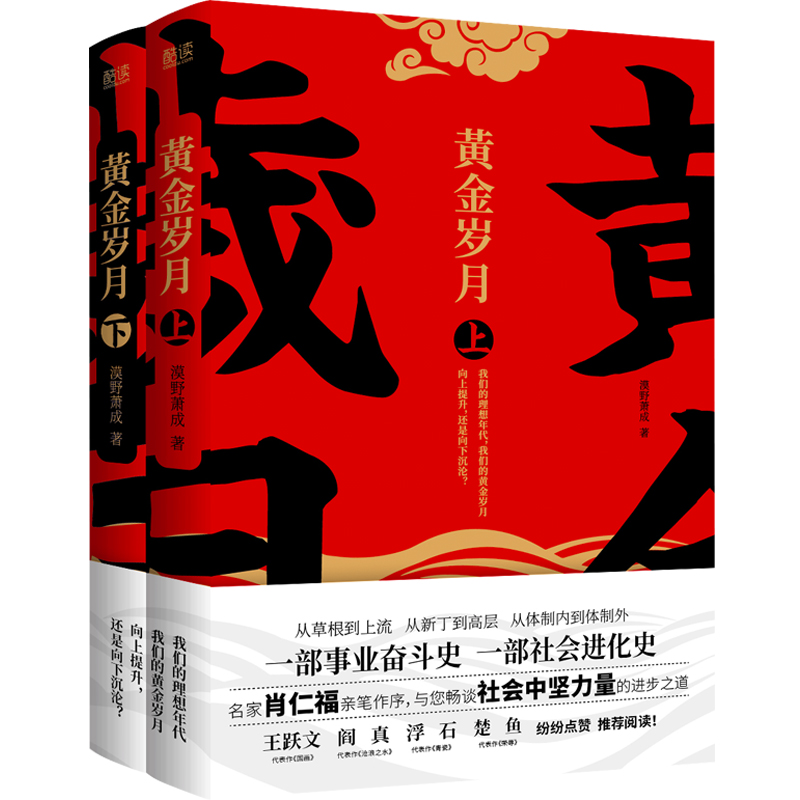 黄金岁月(上下册) 官场反腐小说名家肖仁福亲笔作序 与读者畅谈社会中坚力量的进步之道