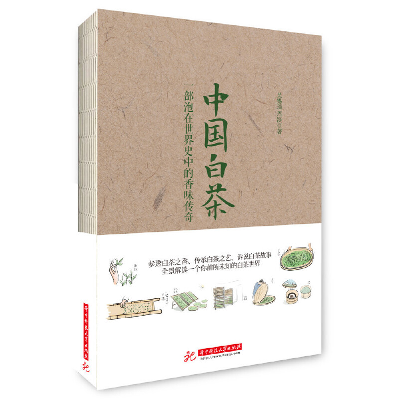 正版 中国白茶（升级版） 吴锡端 华中理工大学出版社 9787568026444