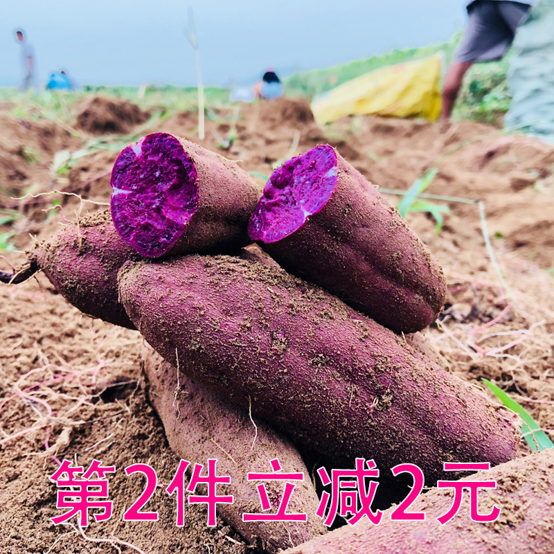 紫罗兰新鲜大紫薯地瓜农家自种紫心大紫番薯红薯五斤装包邮价