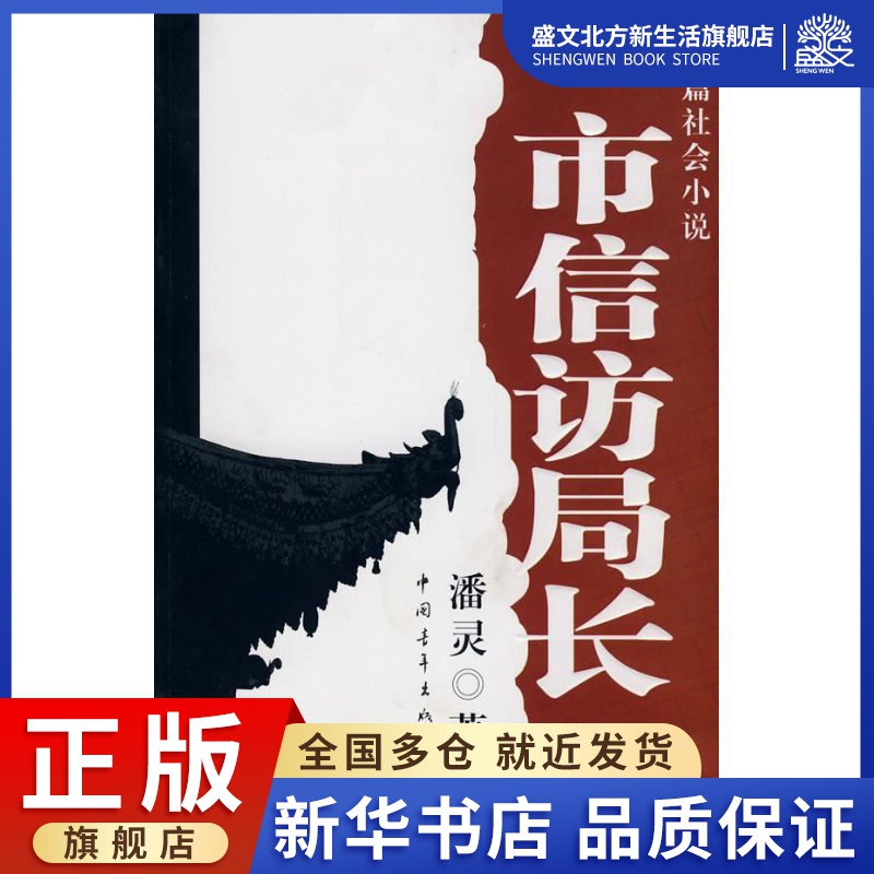 市信访局长 潘灵 著作 官场、职场小说 文学 中国青年出版社 图书
