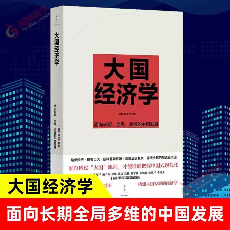 大国经济学面向长期全局多维的中国发展陆铭等著上海人民出版社正版书解读中国经济的通识之作 经济长期发展转型置身事内大国大城