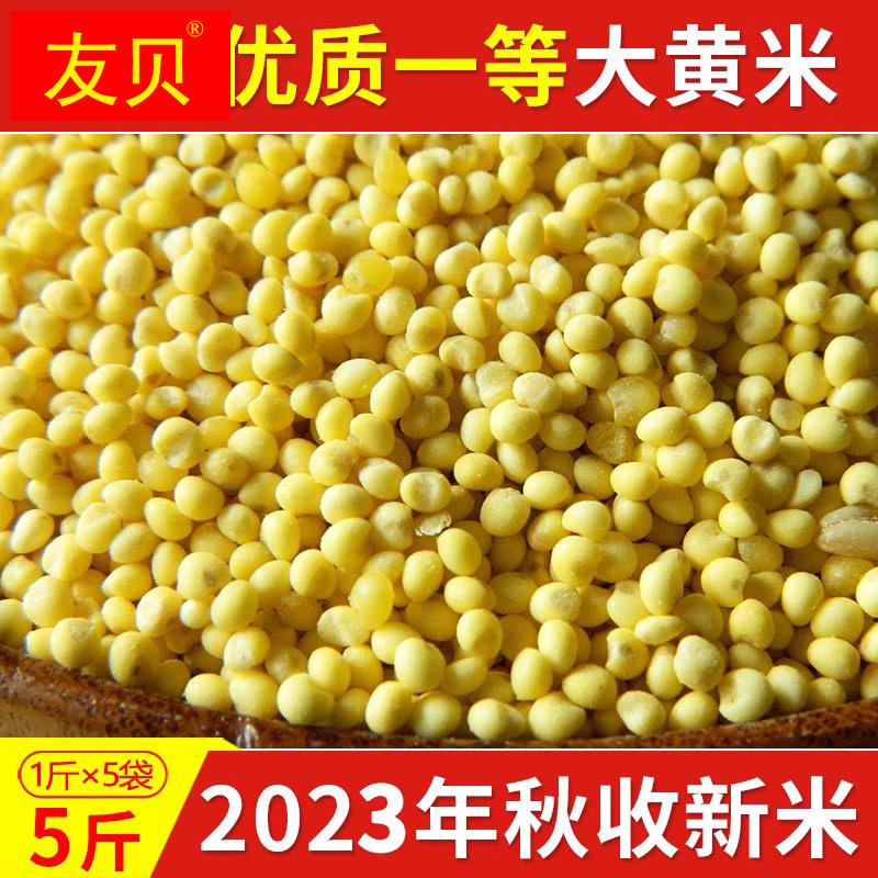 2023年东北大黄米黏黄米新米糯大黄米黄黍米黄黏米特级2.5kg5斤装