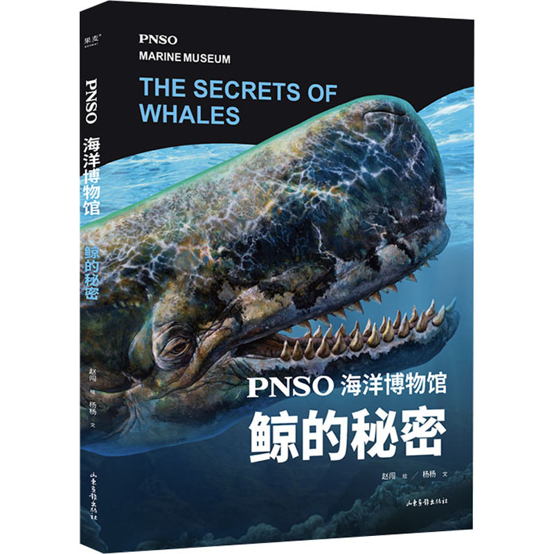 PNSO海洋博物馆 鲸的秘密