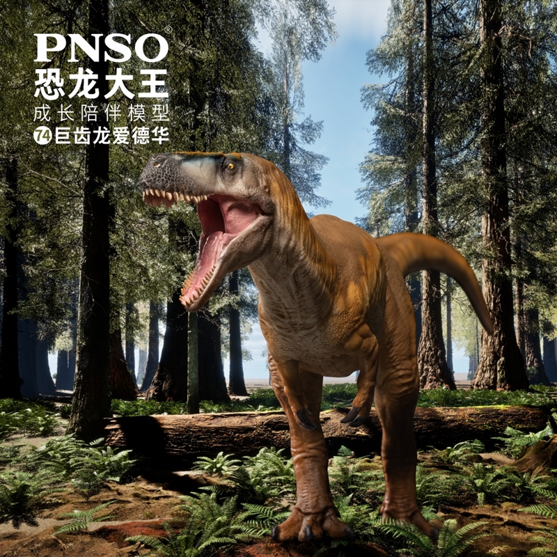 PNSO巨齿龙爱德华恐龙大王成长陪伴模型74