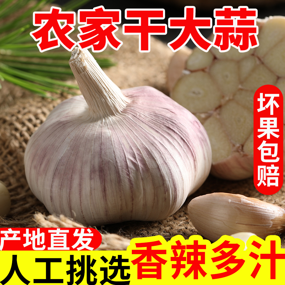 【农家土蒜】农家干大蒜头5斤紫白皮新干蒜种子新鲜蔬菜批发3/9斤