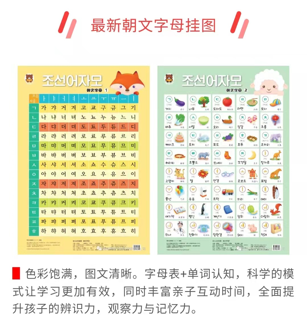 幼儿认知挂图韩（朝鲜）文字母表1.2|儿童启蒙学前教育益智玩具