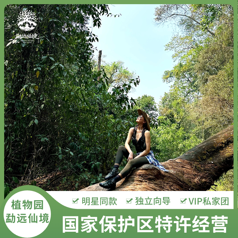 西双版纳中国科学院热带植物园+勐远仙境雨林徒步【VIP私家团】