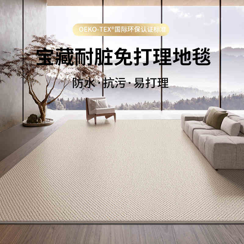客厅地毯2024新款家用沙发可擦免洗素色卧室防水防污纯色天津地垫