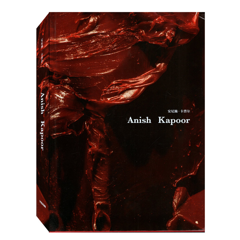 VISION杂志 安尼施·卡普尔Anish Kapoor 中国青年出版总社 艺术摄影时尚视觉设计期刊