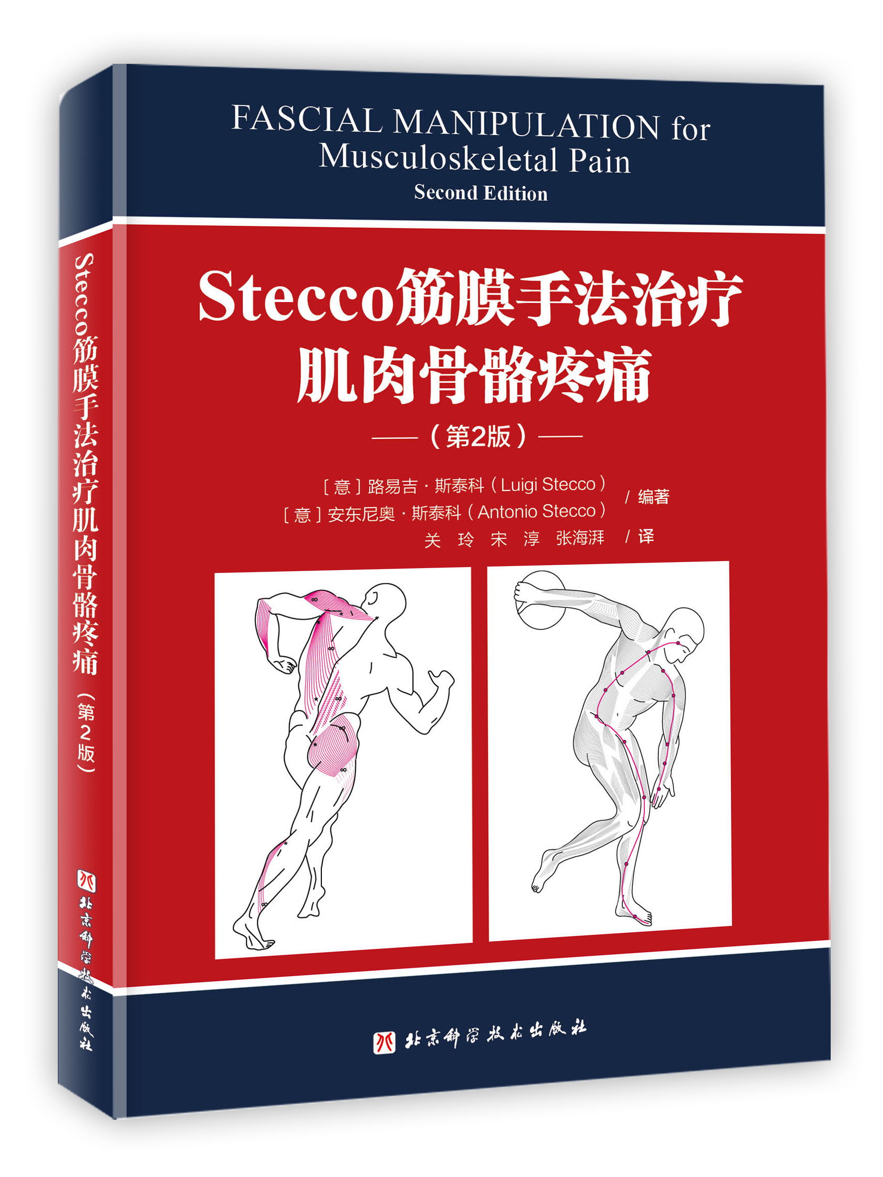 正版 Stecco筋膜手法治疗 肌肉骨骼疼痛 北京科学技术出版社 路易吉·斯泰科