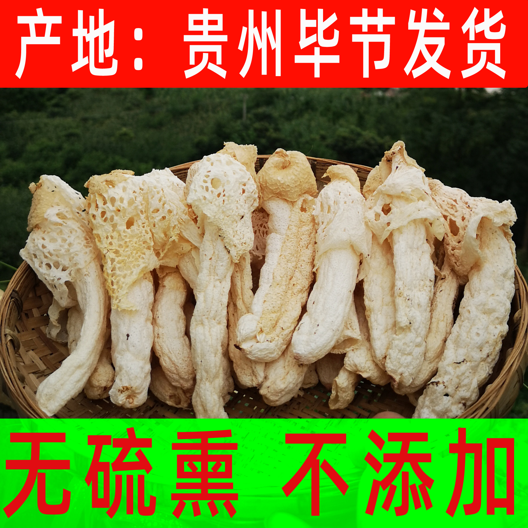 贵州毕节特产竹荪产地贵州发货不添加无硫熏竹荪10-12厘米