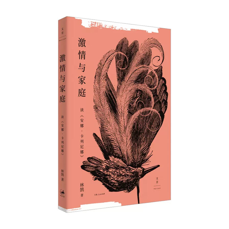 激情与家庭:读《安娜·卡列尼娜》  林鹄 上海人民出版社 新华书店正版图书