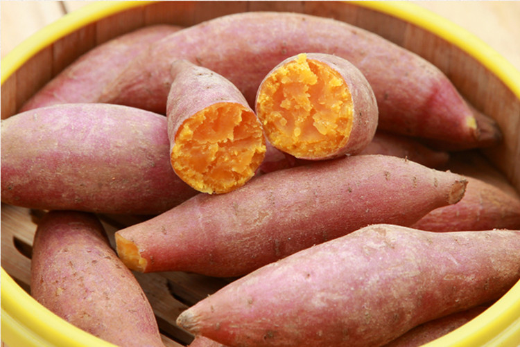 广西红薯现挖新鲜红薯沙地红薯小红薯薯山芋番薯地瓜带箱10斤。