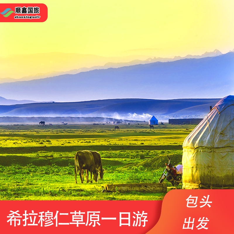 内蒙古包头旅游 希拉穆仁草原一日游 含中餐骑马下马酒