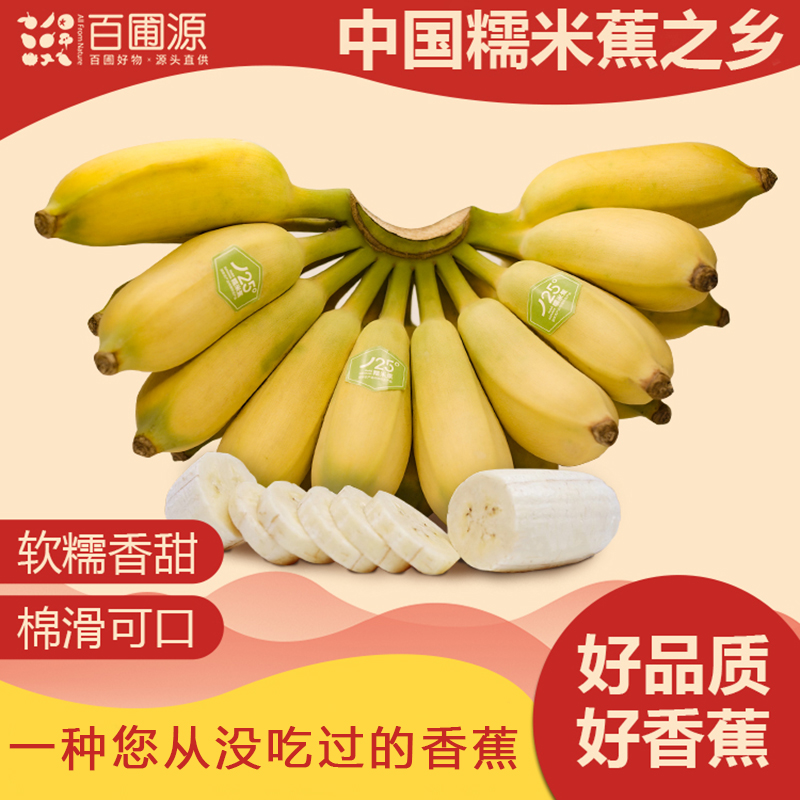 中国糯米蕉之乡 册亨百圃源糯米蕉5斤装当季新鲜水果自然熟小香蕉