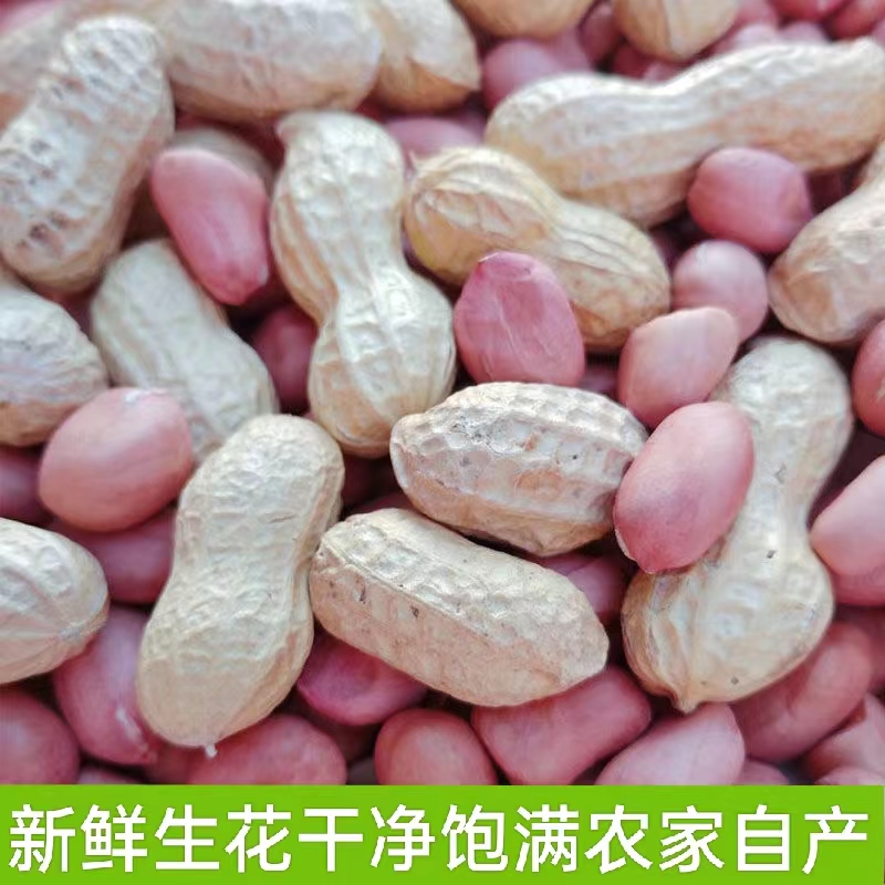 湖南新鲜生熟花生米带壳精挑细选颗粒饱满 壳米可选 干净 农家自