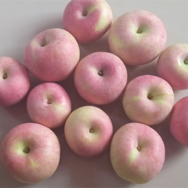 山东烟台小国光苹果 新鲜水果老树酸甜苹果包邮5斤自产自销农产品