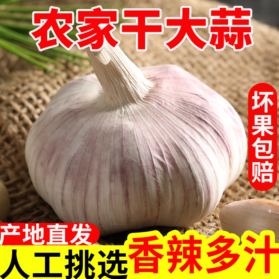 【粉丝福利】农家干大蒜头5斤紫白皮新干蒜种子新鲜蔬菜批发3/9斤