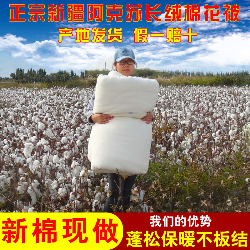 新疆棉花被新棉现做被子被芯纯棉花加厚冬被褥子单双人学生被棉絮