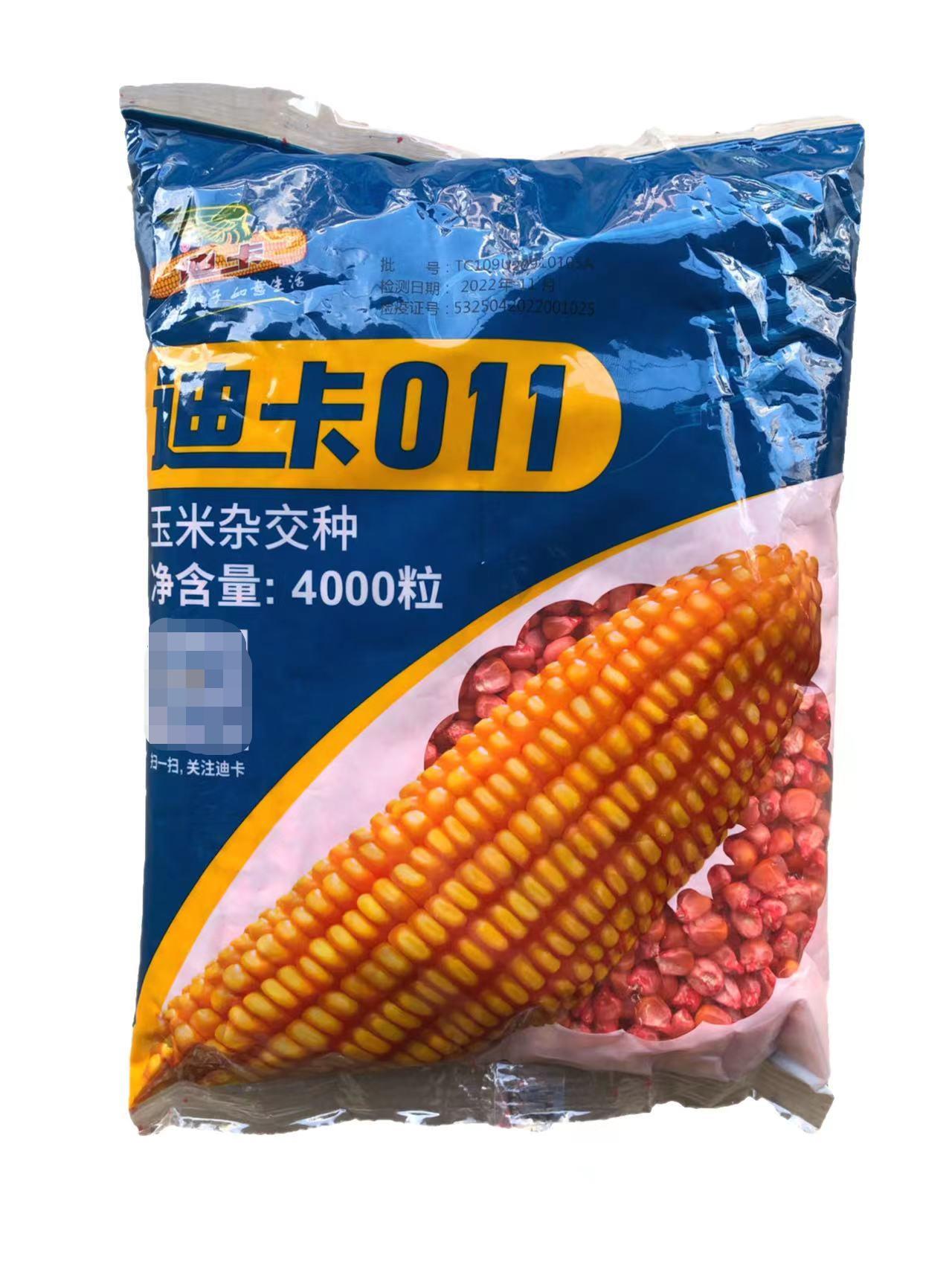 迪卡011玉米杂交种子4000粒硬土玉米鸡吃玉米大棒轴细粒长