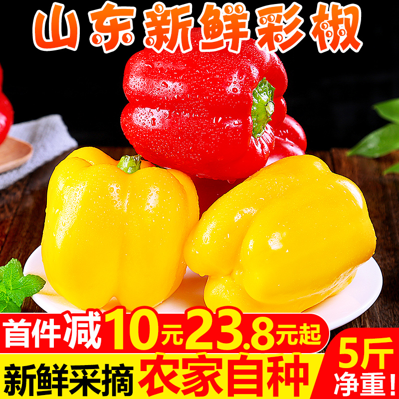 山东新鲜彩椒5斤圆辣椒五彩红黄灯笼椒水果甜椒七太空椒蔬菜