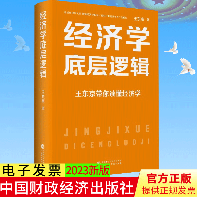正版 经济学底层逻辑 王东京 著 中国财政经济出版社 9787522322797