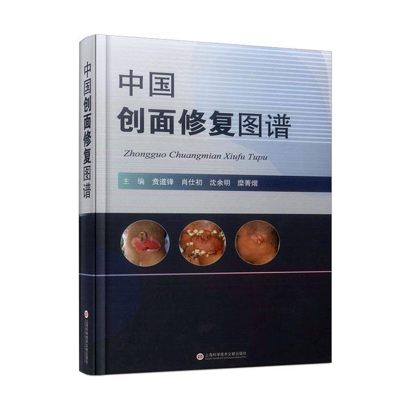 RT 正版 中国创面修复图谱9787543985803 贲道锋上海科学技术文献出版社