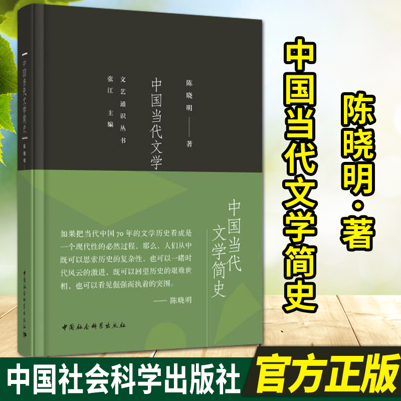 中国当代文学简史  陈晓明著 中国社会科学出版社 文艺通识丛书