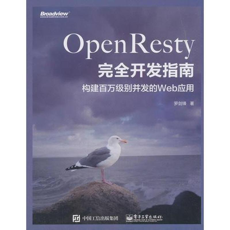【正版库存轻度瑕疵】OpenResty完全开发指南：构建百万级别并发的Web应用 罗剑锋 电子工业出版社
