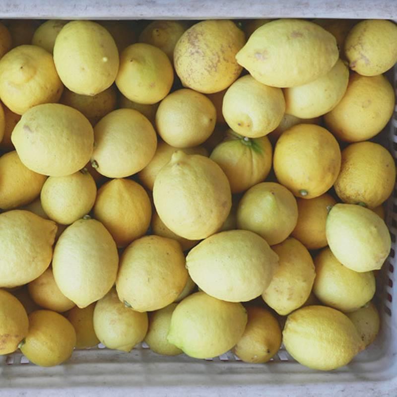 黄柠檬新鲜安岳水果5斤净重特产皮薄多汁不打蜡重庆非香青柠大中