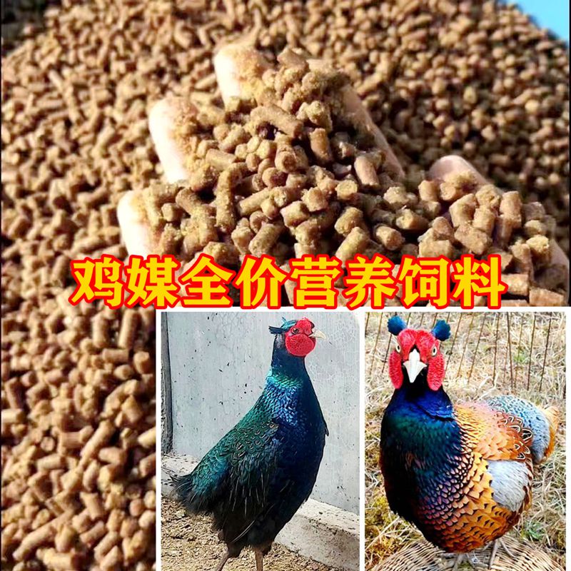 山鸡媒粮食 优质野鸡粮料斗鸡饲料提性壮膘竹鸡鹧鸪七彩鸡鸟食5斤