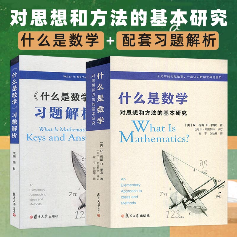 现货速发全2本 什么是数学+习题解析 什么是数学第四版配套习题解析 数学方法 对思想和方法的基本研究 罗宾 复旦大学出版社