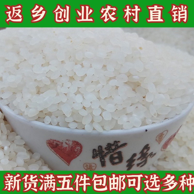 大米新米 500g 农家自产稻花香大米贡米珍珠大米八宝粥米五谷杂粮