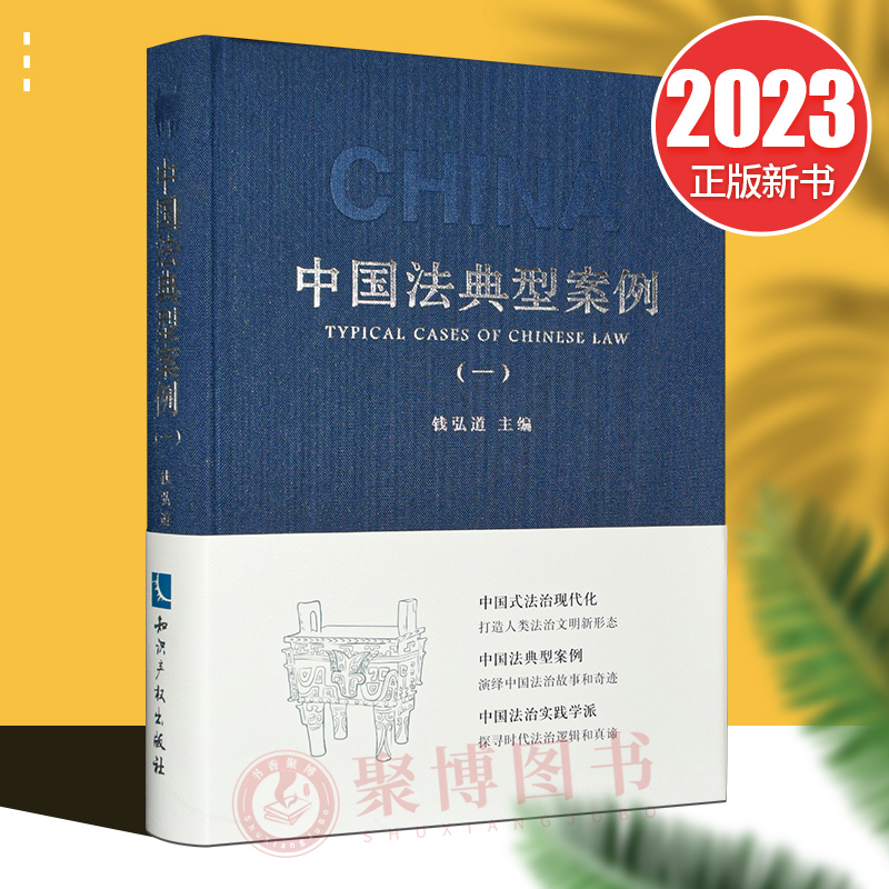 正版2023新书 中国法典型案例（一）钱弘道 中国法律体系 典型案例 指导性案例 知识产权出版社 9787513085816