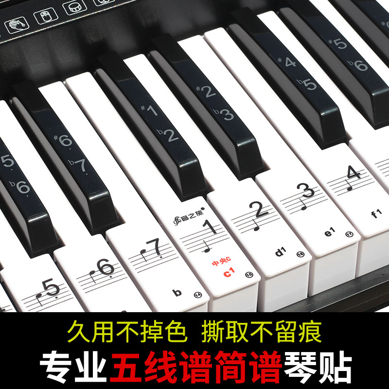 88键61键54键电子琴键盘贴钢琴按键贴纸五线谱简谱音符键位贴数字