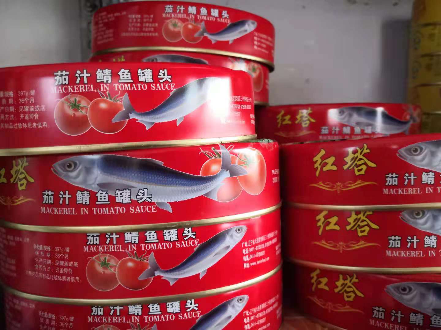 红塔 茄汁鲭鱼罐头397克*4 大连特产即食下饭海鲜熟食深海鱼肉块