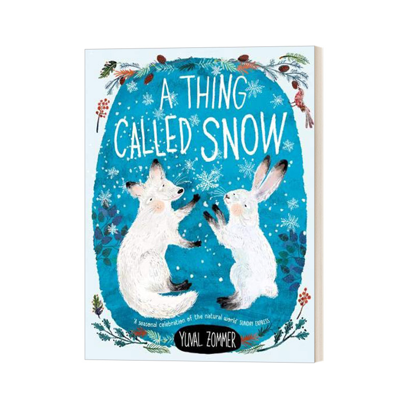 Yuval Zommer一种叫做雪的东西 A Thing Called Snow 英文原版进口 儿童绘本故事图画书 英国牛津大学出版社读物