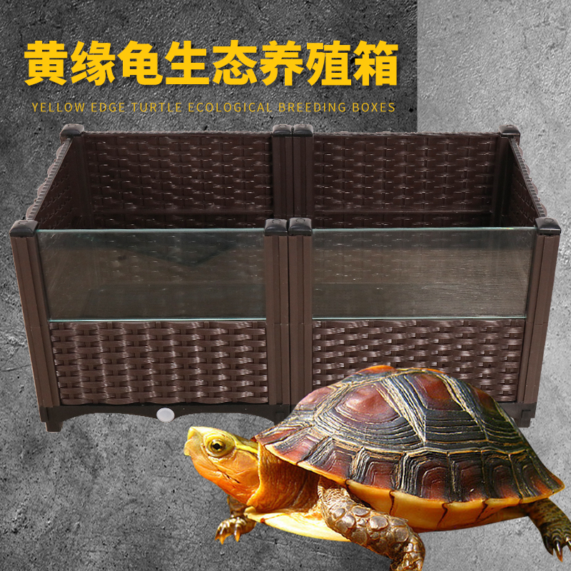 黄缘龟饲养箱安缘台缘闭壳半水龟专用生态造景植物环境养殖乌龟缸
