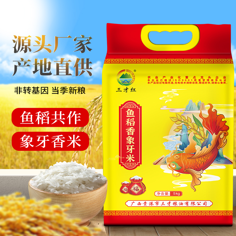 广西鱼稻香象牙米当季新米真空包邮10斤装长粒香米油粘米猫牙丝苗
